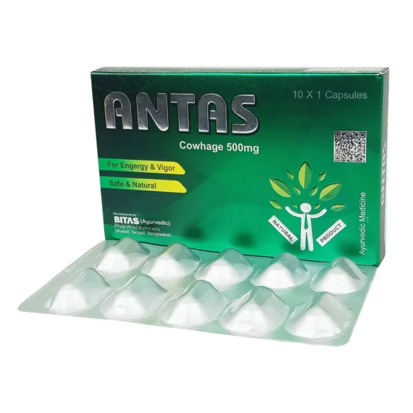 Antas 500